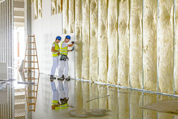 Types of Insulation We Offer in Whitmore Village, HI